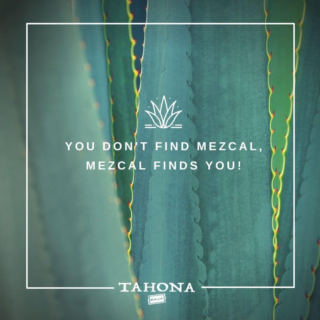 Tahona Baja